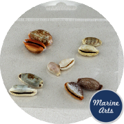 8800-P8 - Craft Pack - Mini Cowrie Shells